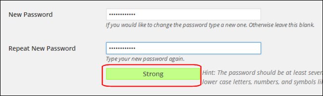 wp-password